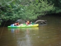 canoe 2009 031