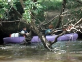 canoe 2009 079