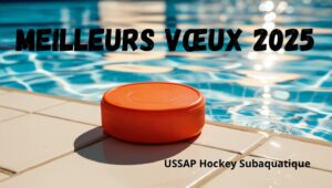 Bonne Année 2025